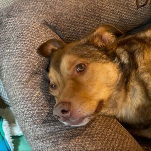 Meet your Posher, Ben